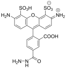 APDye 488 Hydrazide