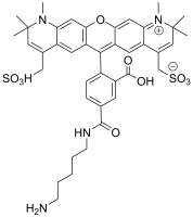 APDye 594 Cadaverine