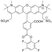 APDye 594 TFP Ester