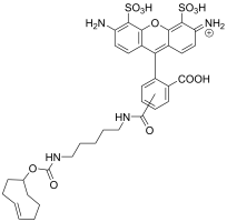 APDye 488 TCO