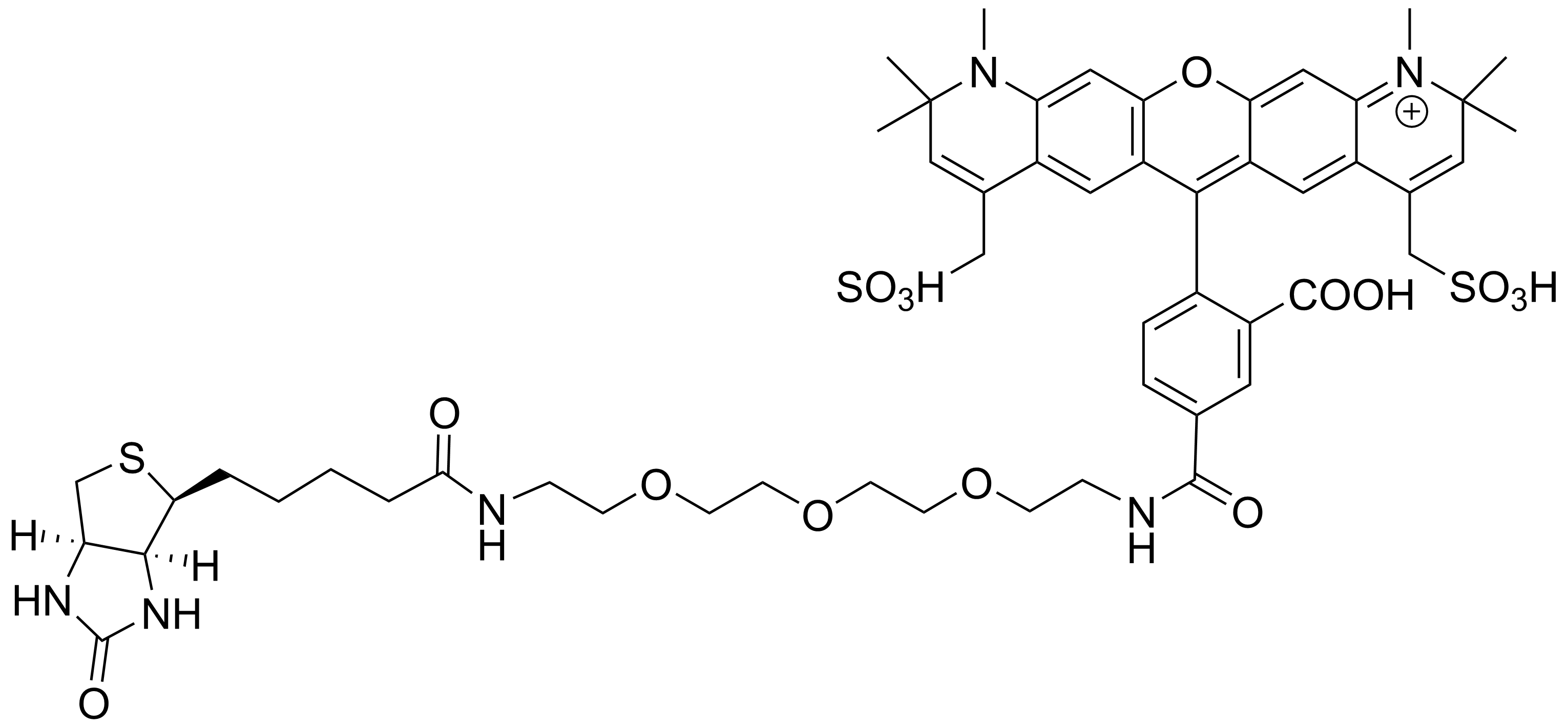 APDye 594 Biotin