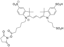 Sulfo Cy3 NHS ester