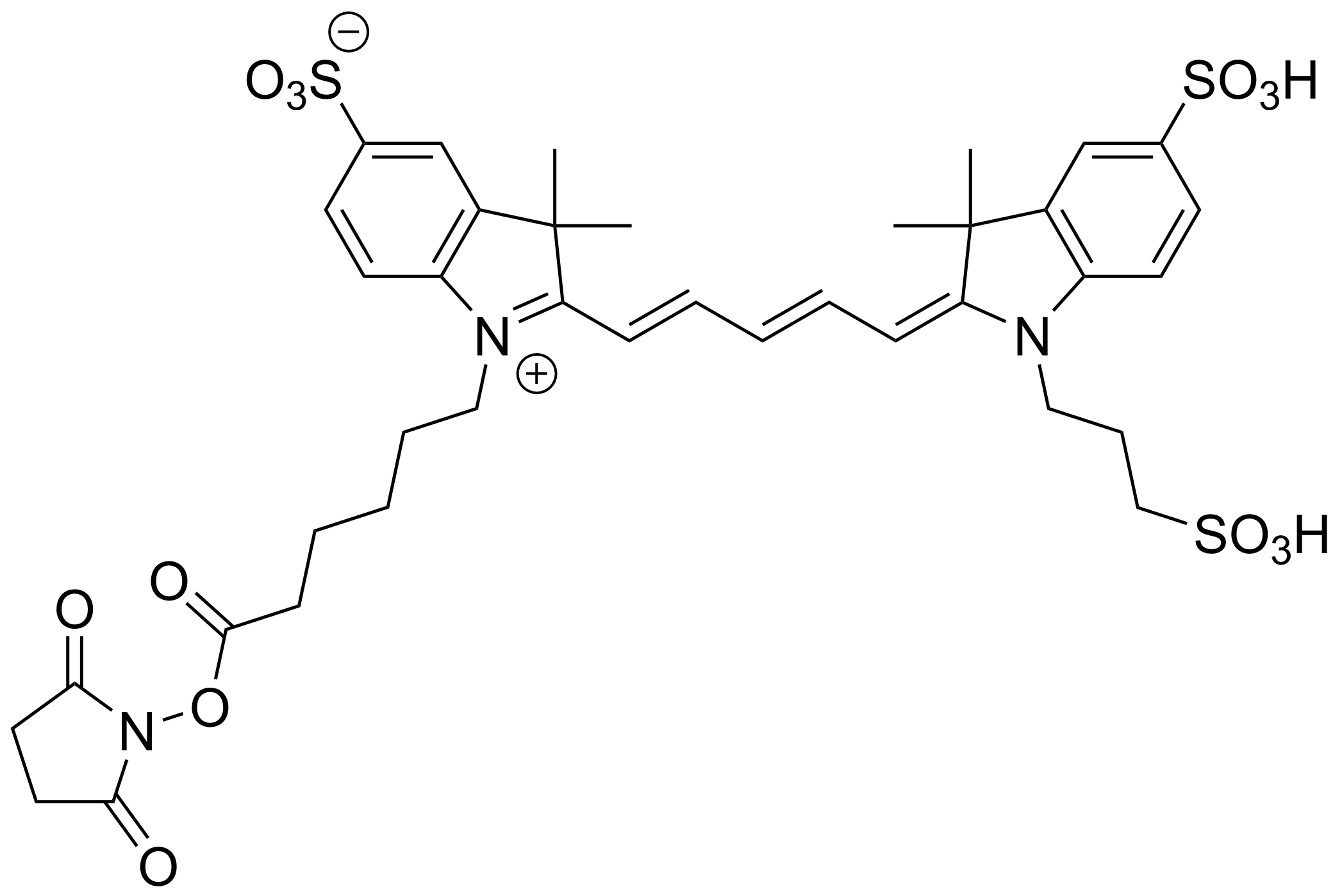 Sulfo-Cy5 NHS ester