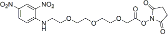 DNP-PEG3-CH2 NHS ester