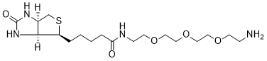 Biotin-PEG3-amine