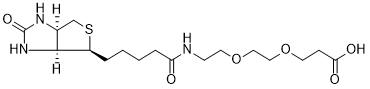 Biotin-PEG2-acid