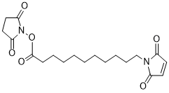 Mal-C11-NHS ester