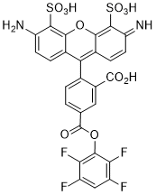 AFDye 488 TFP ester