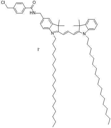 CM-DiI, lipophilic tracer