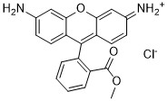 LumiTracker Mito Rhodamine 123