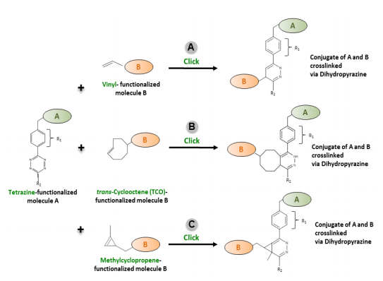 Alkene and Tetrazine Inverse-Demand Diels-Alder