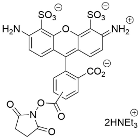 APDye 488 NHS ester (Alexa Fluor® 488 NHS equivalent)