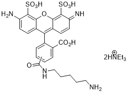 APDye 488 Cadaverine