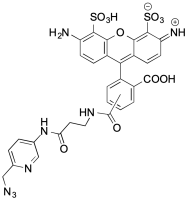 APDye 488 Picolyl Azide