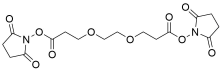 Bis-PEG2-NHS ester