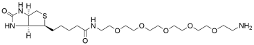 Biotin-PEG5-amine