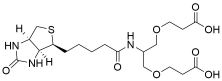 2-(Biotin-amido)-1,3-bis(carboxylethoxy)propane