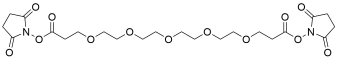 Bis-PEG5-NHS ester