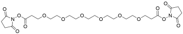 Bis-PEG6-NHS ester