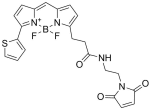 BDP 558/568 maleimide