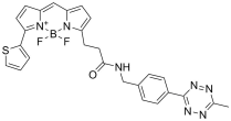 BDP 558/568 tetrazine