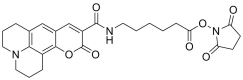 Coumarin 343 X NHS ester