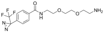 Amino-PEG2-trifluoromethyl-diazirinyl-benzamide