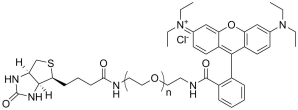 Rhodamine-PEG-Biotin, MW 3.4K