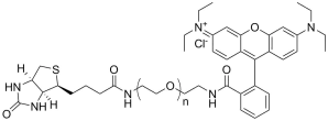 Rhodamine-PEG-Biotin, MW 5K