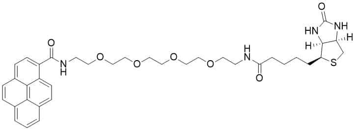 Pyrene-PEG5-biotin