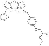 BDP 630/650 lipid stain