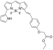 BDP 650/665 lipid stain