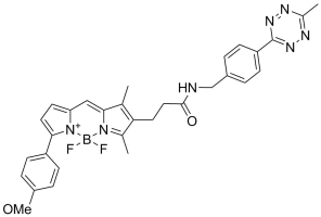 BDP TMR tetrazine