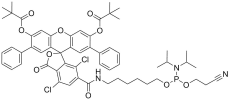 SIMA phosphoramidite, 6-isomer