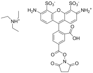 AF488 NHS ester