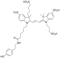 APDye 555 Tyramide