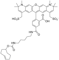 APDye 594 TCO