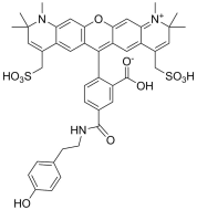 APDye 594 Tyramide