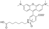 TAMRA-C6-Acid