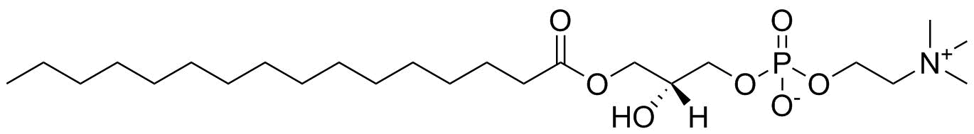 LPC(16:0/0:0)