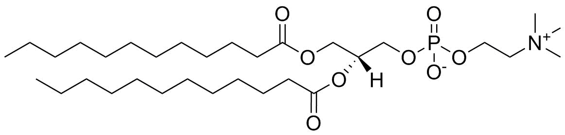 1,2-Dilauroyl-sn-glycero-3-Phosphocholine