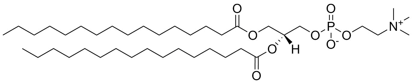 1,2-Dipalmitoyl-sn-glycero-3-Phosphatidylcholine