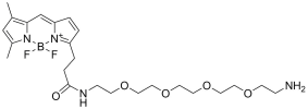 BDP FL-PEG4-amine TFA salt