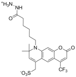 APDye 430 hydrazide