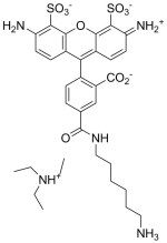 APDye 488 amine