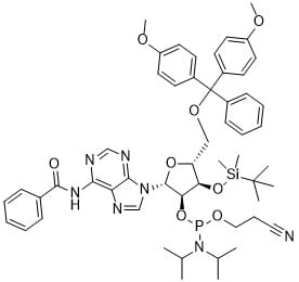 3'-TBDMS-Bz-rA Phosphoramidite