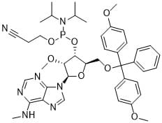 5'-O-DMTr-2'-O-methyl-N6-methyl adenosine 3'-CED phosphoramidite