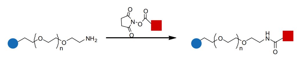 Amino-PEG-1