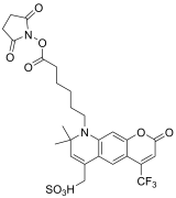 APDye 430 NHS Ester