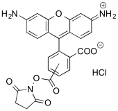 5(6)-Carboxyrhodamine 110 NHS Ester